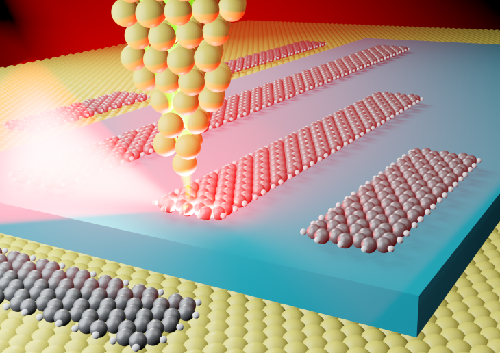 Topologically localized excitons in single graphene nanoribbons